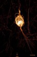 /album/les-lucioles-bruxellois-ou-la-magie-des-lumi%c3%a8res-de-noel/lanterne-nocturne-2012-173-jpg/